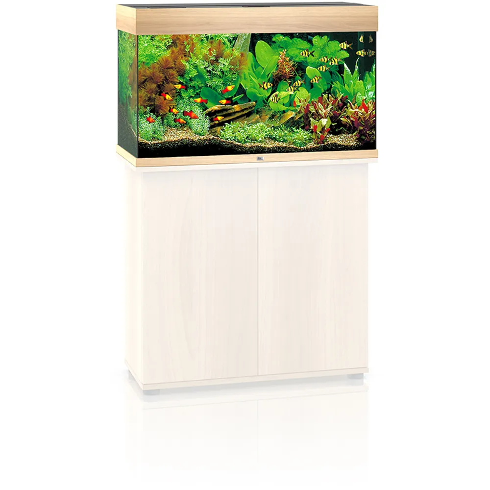 Juwel Rio 240 L Eg 121x41x55 cm